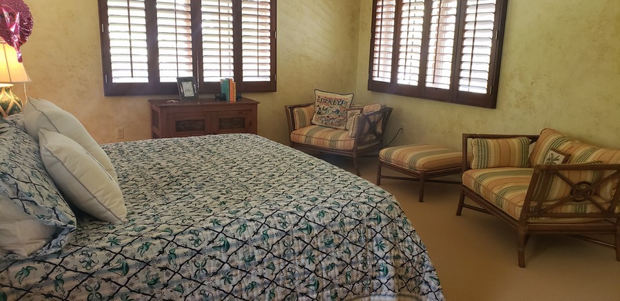 Guest Master bedroom